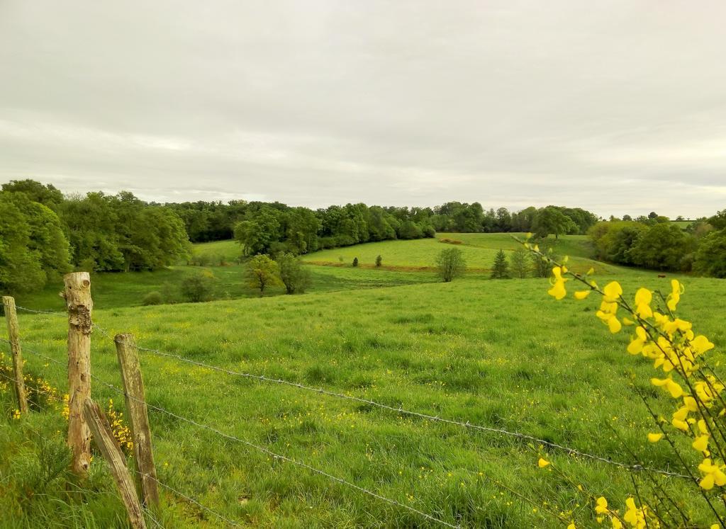 Les Forges De Planechaud Bed and Breakfast Saint-Priest-le-Betoux Buitenkant foto