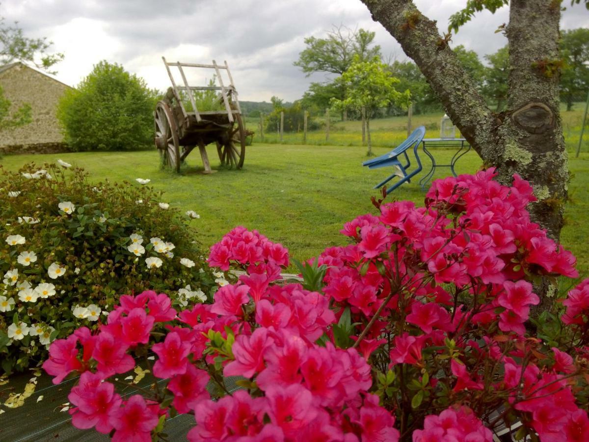 Les Forges De Planechaud Bed and Breakfast Saint-Priest-le-Betoux Buitenkant foto