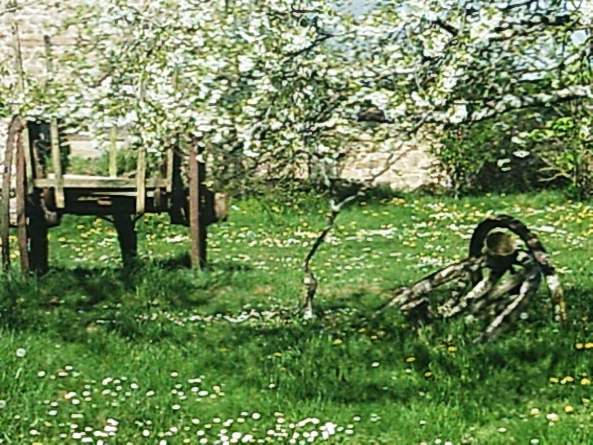 Les Forges De Planechaud Bed and Breakfast Saint-Priest-le-Betoux Buitenkant foto